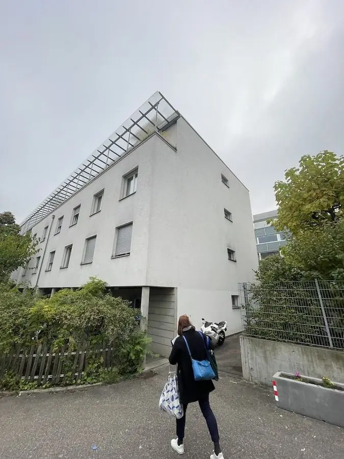Bx2 Baumanagement auf Instagram