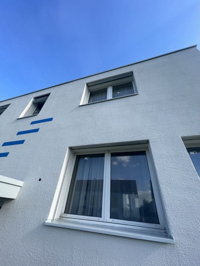 Bx2 Baumanagement auf Instagram